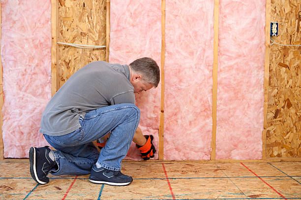 Best Energy Efficiency Insulation in Lansing, KS