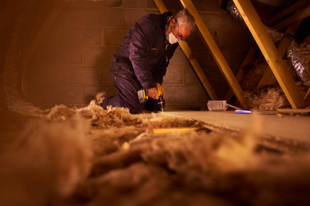 Best Eco-Friendly Insulation in Lansing, KS